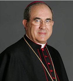 Monseñor Asenjo afirma que la iniciativa de las Cofradías es coherente con su condición católica